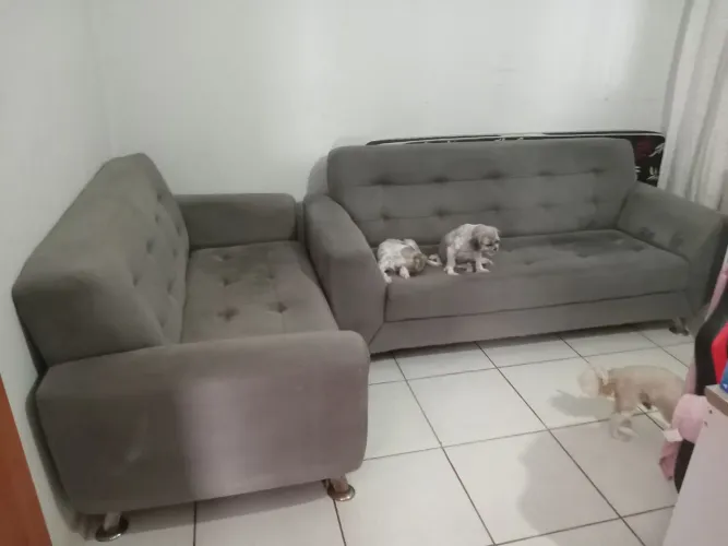 Sofa 2 e 3 lugares usado bom zap *