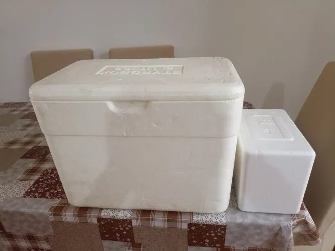 Caixas de isopor