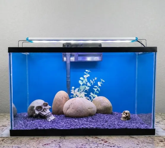 AQUÁRIO 25 LITROS