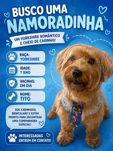 PROCURA-SE UMA NAMORADINHA