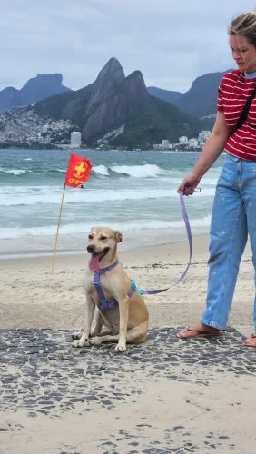Belinha para adoção