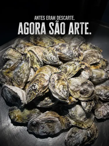 Conchas de Ostra 1kg | Artesanato | Decoração | Florianópolis