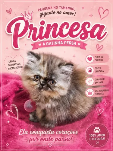 Gatinhos persas
