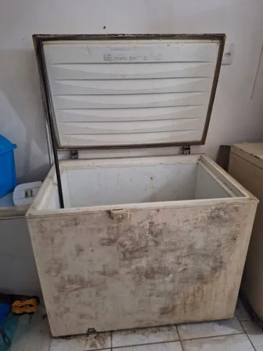 2 freezers funcionando