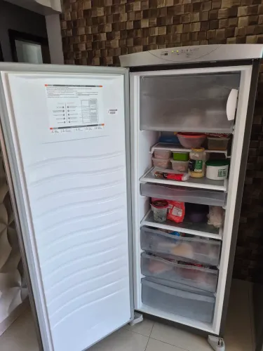 Freezer Frost Free 228L