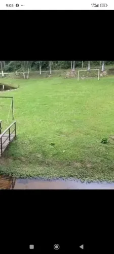 Gramas bermudas já plantado