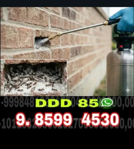 Frete e fretes para objetos diversos