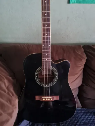 Violão palmer elétrico.