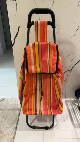 Carrinho de Feira e Compras Dobrável com Bolsa