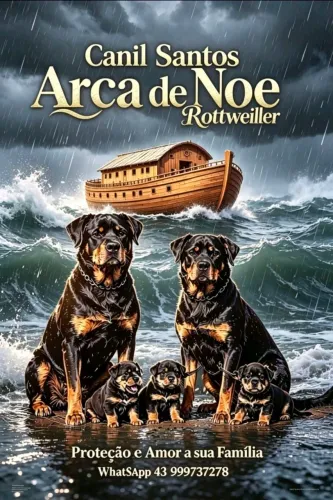 Rottweiler encomenda