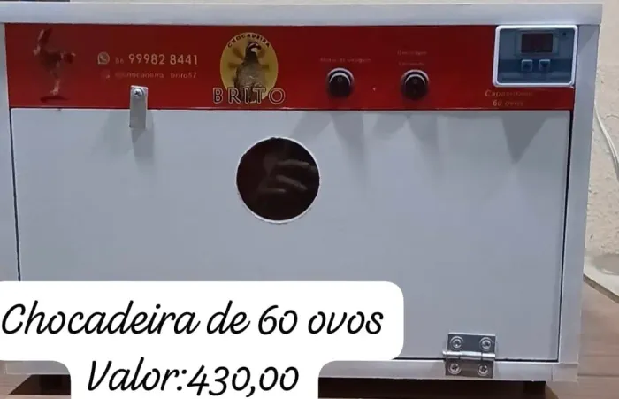 Chocadeira de 60 ovos