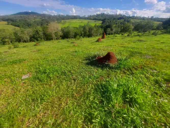 Terreno em Claudio MG Ótimo para plantações diversas. ou gado 44 hectares 440 mil metros -