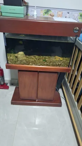 Aquário 80L