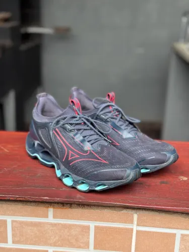 Mizuno prophecy 14