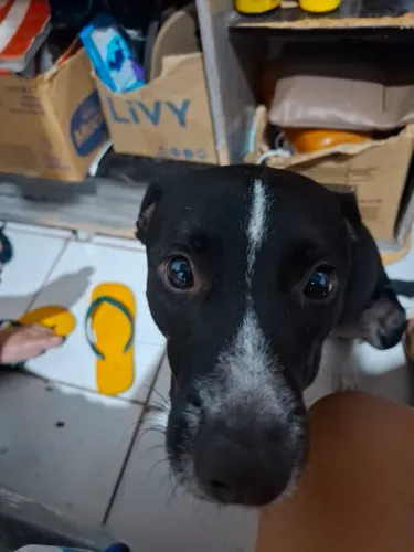 Para doação, não tenho onde deixar ele!