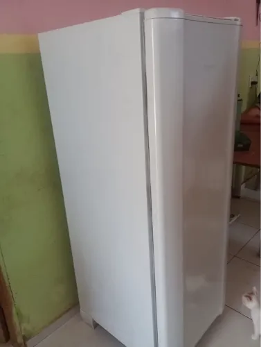 Geladeira esmaltec degelo seco