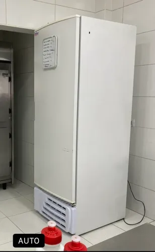 Freezer Frilux 465litros 