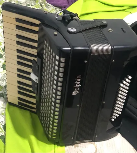 Acordeon dolphin 48 baixos