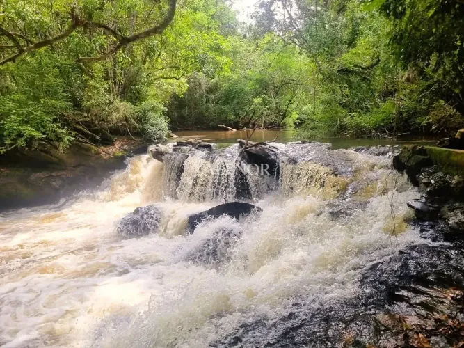 Fazenda com cachoeira na região de Juiz de Fora, MG