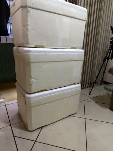Isopor de 60 litros
