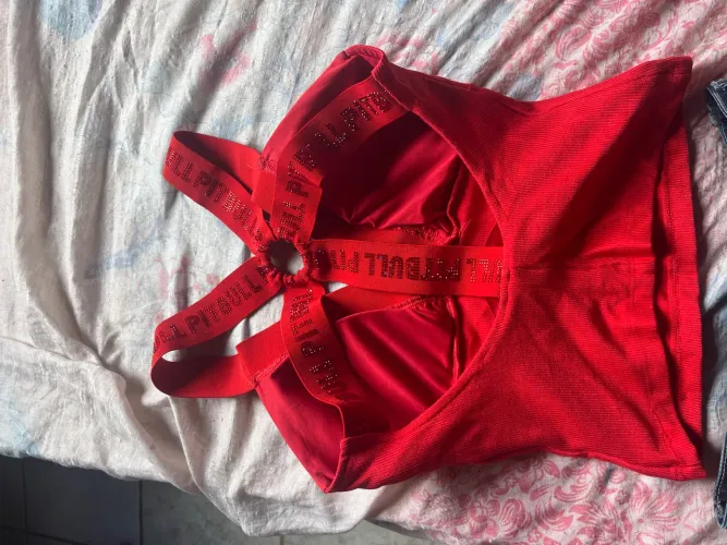 Conjunto Pit bul
