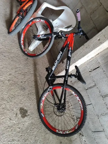 Bicicleta