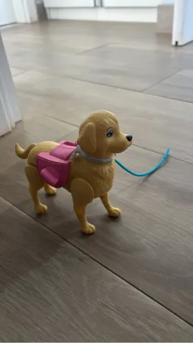 Cachorro Barbie 