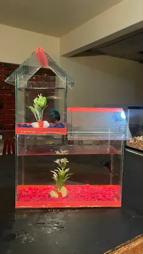 Mini casinha chalé 