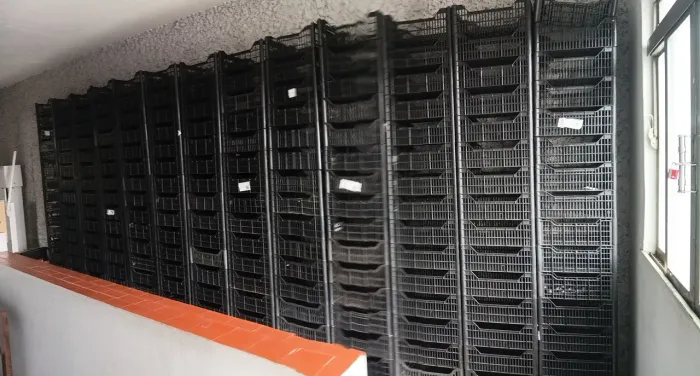 Caixas organizadoras