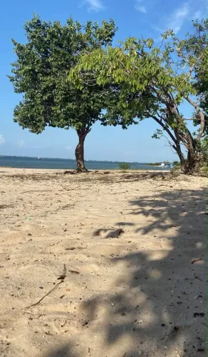 Vendo casa do jua na beira da praia
