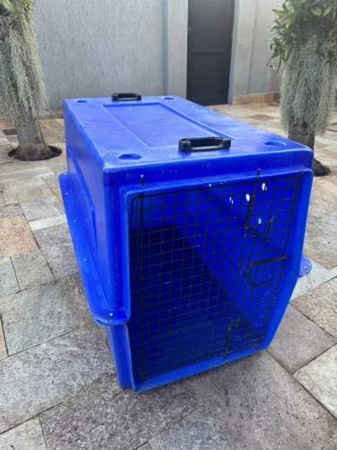 Caixa deTransporte PetTour 500 extra Grande