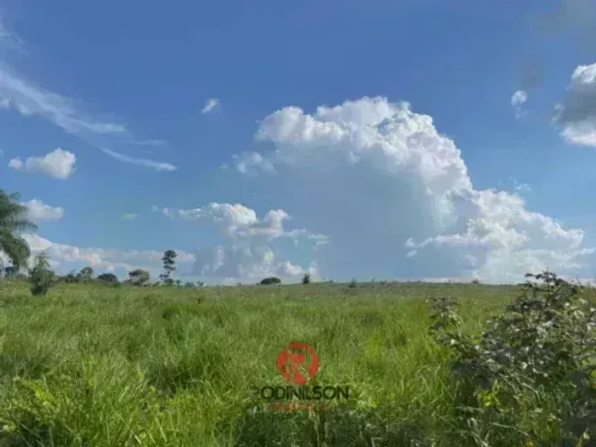 Fazenda à venda, 740 hectares, terra muito fértil, São Domingos de Capim/PA