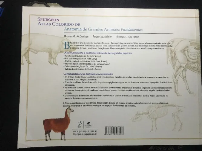 Atlas Colorido de Anatomia de Grandes Animais - Fundamentos Capa comum