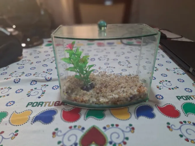AQUARIO para peixe beta ou peixes pequenos 