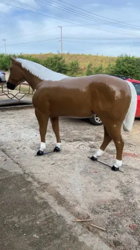Cavalo para aluguel