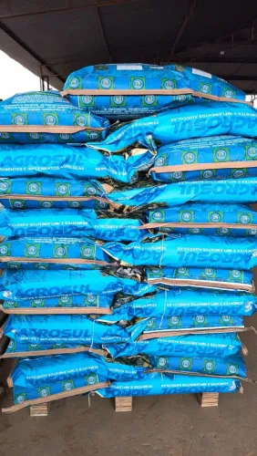 Sementes para pastagem fiscalizadas 