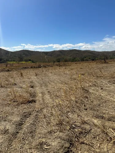 Terreno 250 m2! Sobradinho dos Melos! 