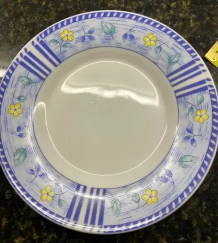 Pires de porcelana com borda azul e cena floral e de folhas.