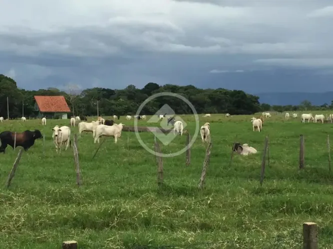 FAZENDA 237 ha Sto Antonio do Leverger - R$ 15.000.000,00 -EXCELENTE OPORTUNIDADE codigo: 