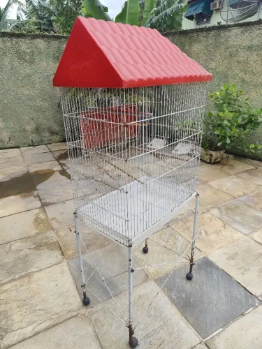 VIVEIRO DE CALOPSITA R$ 350,00