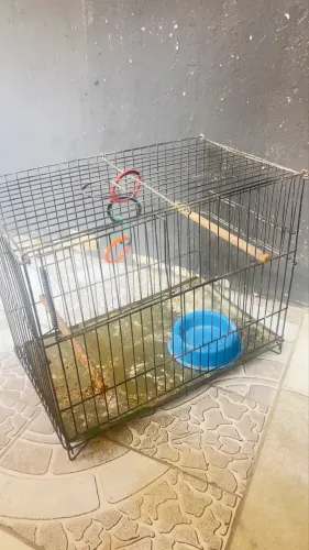 Gaiola de ferro aves ou oq quiser