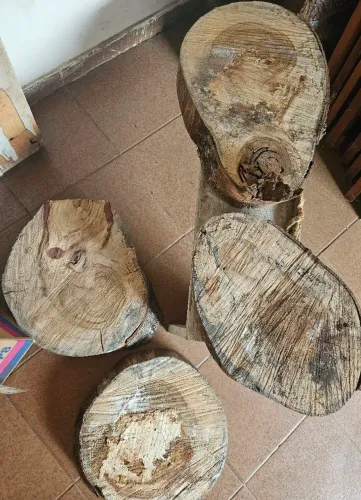 Bolacha Jatoba