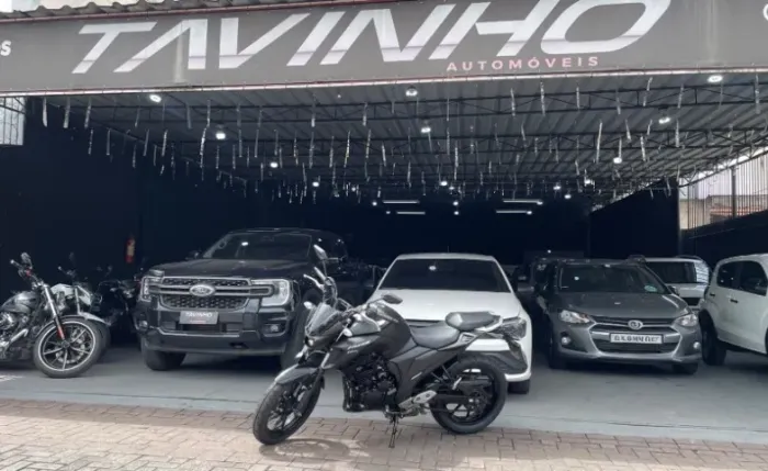 Yamaha Fazer 250 FZ25 | 2022