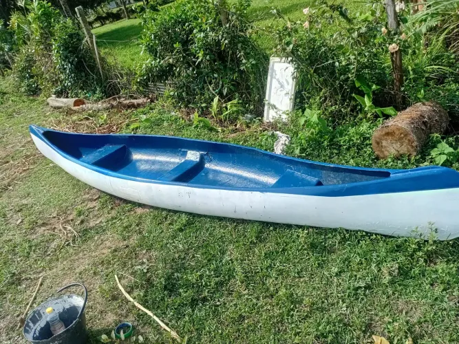 Canoa canadense