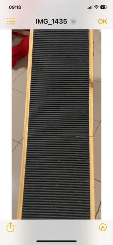 Rampa para gatos