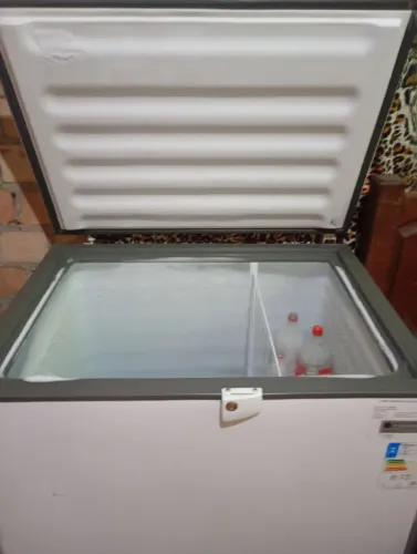 Vende se uma frizee 