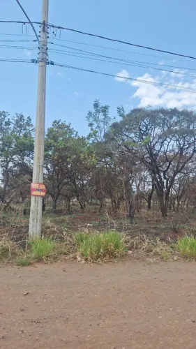 Alugo Jardim Inápolis 2.000 a 9.000 m2 LINHA DO ONIBUS no Indulbrasil