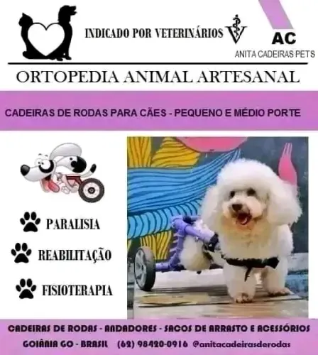 Cadeiras de rodas para cães e gatos