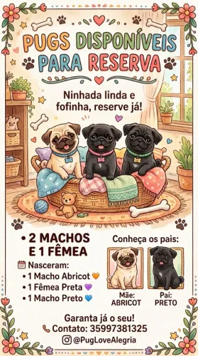 Pugs para reserva