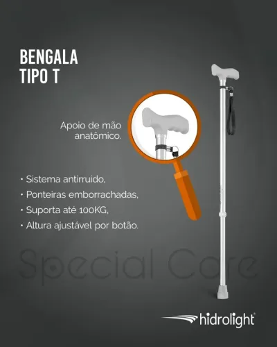 Begaka tipo t